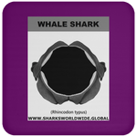 GR WHALE S J C