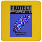 PCRS S EGG C