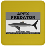 AP BLACKTIP REEF C