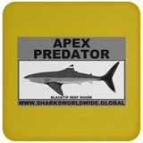 AP BLACKTIP REEF C