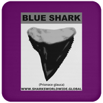 GR BLUE S T C