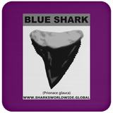 GR BLUE S T C