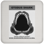 GR OTODUS J C