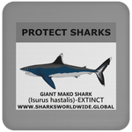 PRS GIANT MAKO V1 C