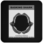 GR BASKING SHARK J C