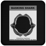 GR BASKING SHARK J C