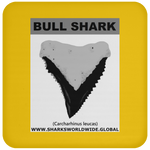 GR BULL SHARK T C