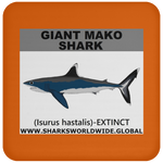 SSP GIANT MAKO C