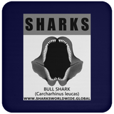 GR SRS J BULL SHARK C