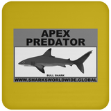 AP BULL SHARK C