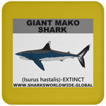 SSP GIANT MAKO C