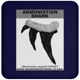 GR AKMONISTION T C
