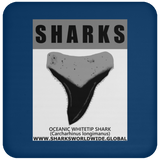 GR SRS T OCEANIC WT C