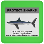 PRS SHORTFIN V1 C