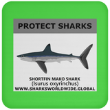 PRS SHORTFIN V1 C