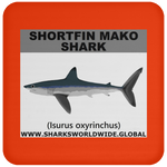 SSP SHORTFIN C