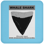 GR WHALE S T C