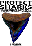 PSKT BLUE S M