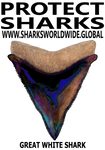 PSKT GWS V1 H