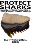 PSKT BNSG T