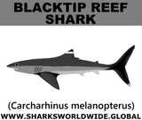 SSP BLACKTIP REEF M