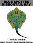 B S RIBBONTAIL RAY S