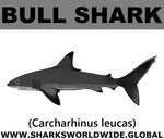 SSP BULL SHARK M