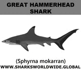SSP G HAMMER M