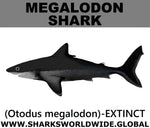 SSP MEGALODON M