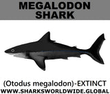 SSP MEGALODON M