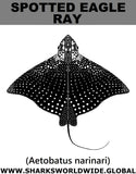 SPOTTED EAGLE RAY S