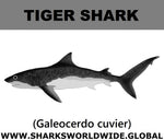 SSP TIGER SHARK M