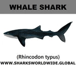 SSP WHALE S M