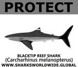 PRS BLACKTIP REEF V2 S
