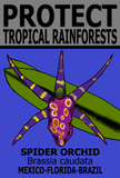 H/R O SPID T