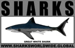 SRS GREAT WHITE M