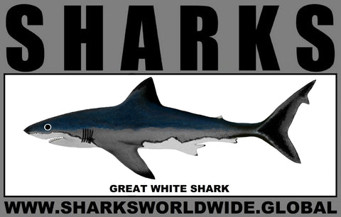 SRS GREAT WHITE M