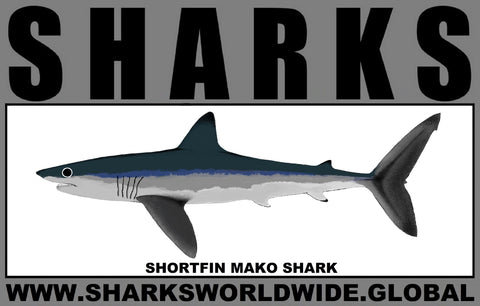 SRS SHORTFIN M