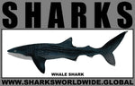 SRS WHALE S M