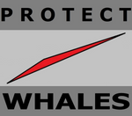LPW LOGO T